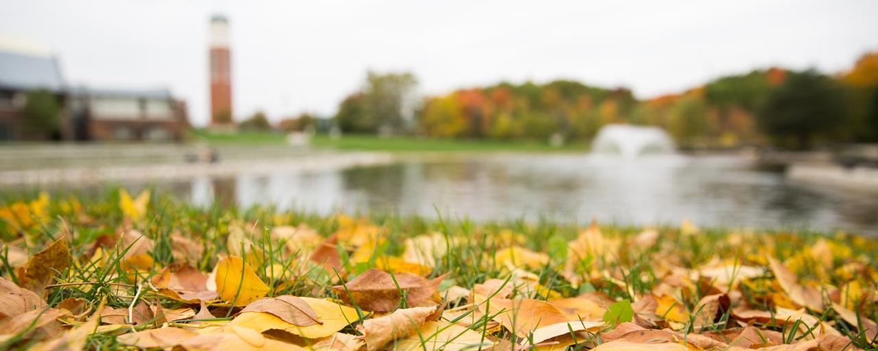 Zumberge pond, Fall Leaves, Clocktower in the Distance